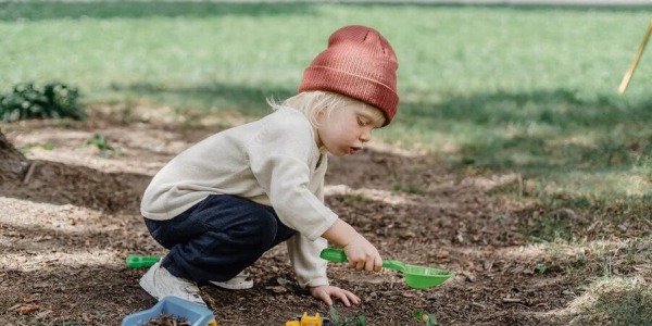 Rośliny łatwe w utrzymaniu - ogród dla początkujących