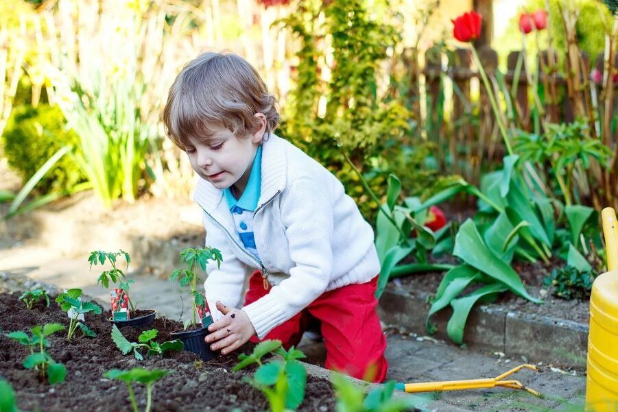 5 prostych sposobów, aby zachęcić dzieci do ogrodnictwa, część 2.
