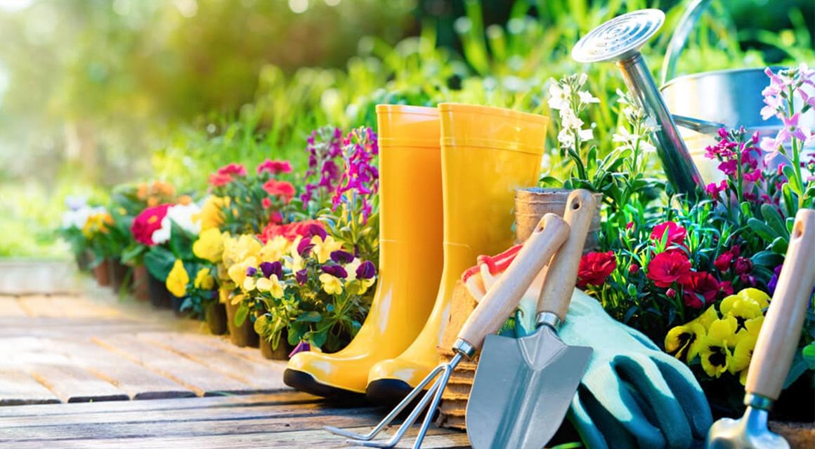 10 ważnych narzędzi, które powinny znaleźć się u wszystkich ogrodników