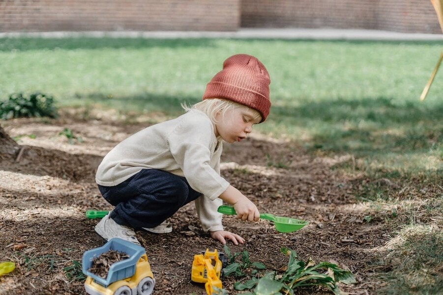 Rośliny łatwe w utrzymaniu - ogród dla początkujących