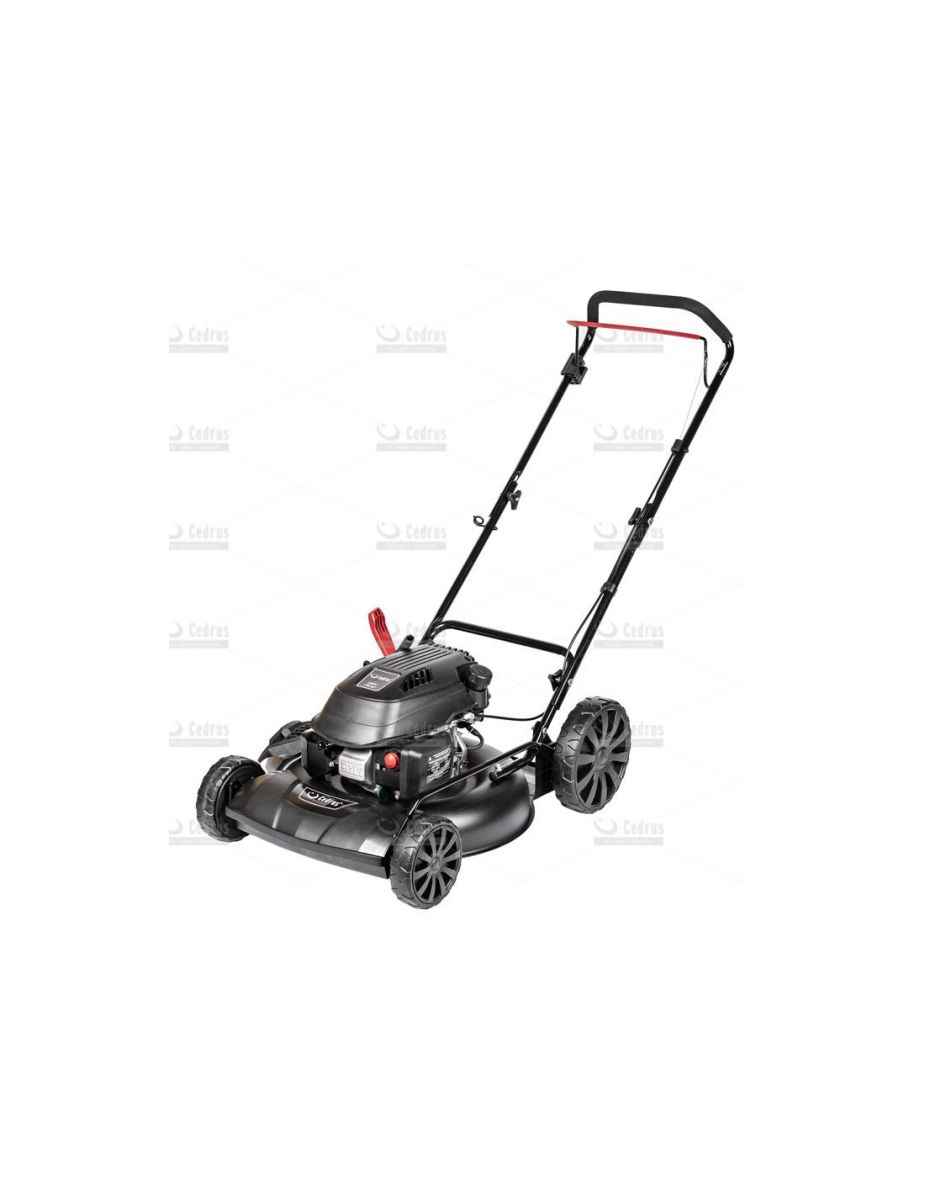 Kosiarka spalinowa do trawy oficjalny dystrybutor Cedrus KS51P