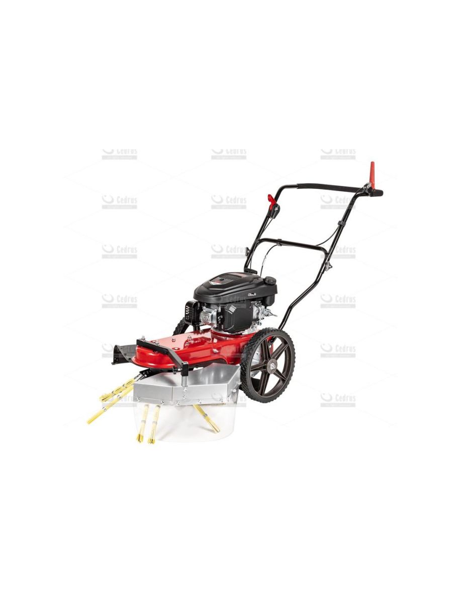 Odchwaszczarka spalinowa Cedrus SC02