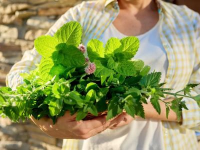 Uprawa ziół na własny użytek – co warto mieć pod ręką?