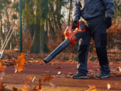 Kiedy warto zainwestować w odkurzacz do liści?