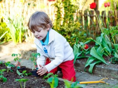 5 prostych sposobów, aby zachęcić dzieci do ogrodnictwa, część 2.