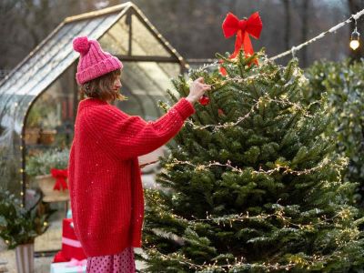 Grudzień w ogrodzie, czyli jakie prace ogrodowe wykonać zimą?