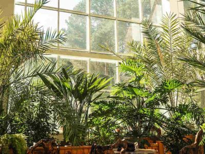 Jak zbudować ogród zimowy?