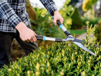 Kilka kroków do idealnego ostrza nożyc ogrodowych