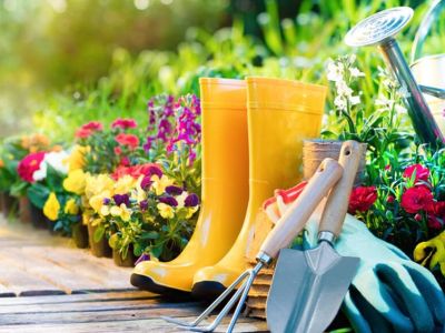 10 ważnych narzędzi, które powinny znaleźć się u wszystkich ogrodników
