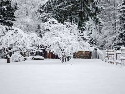 Rośliny każdej pory roku