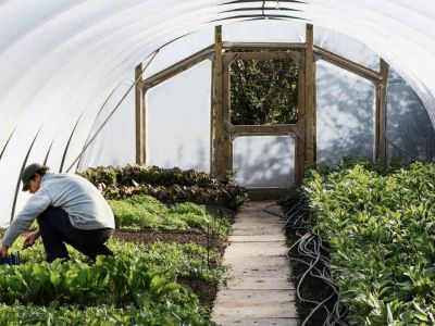 Zagospodarowanie tunelu foliowego od podstaw