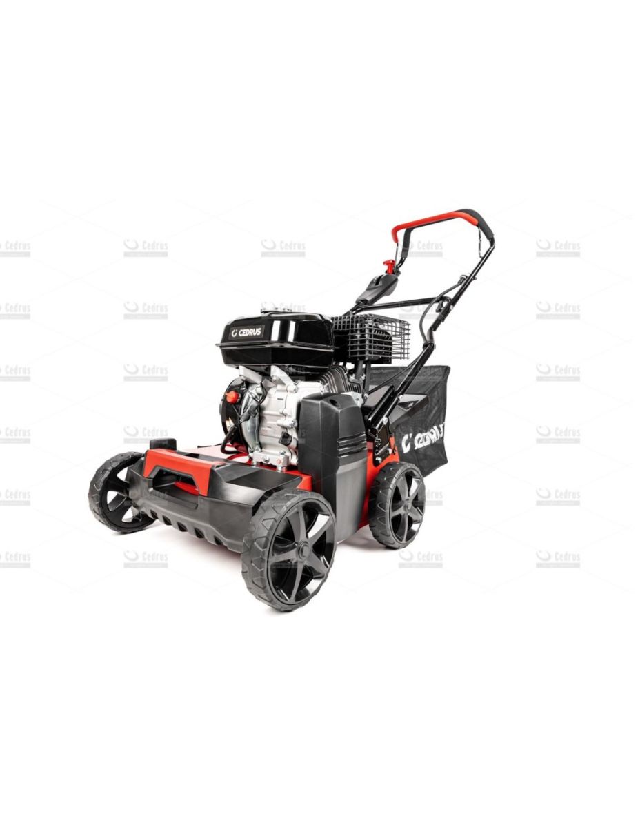 Wertykulator spalinowy do trawy oficjalny dystrybutor Cedrus WR01 2w1