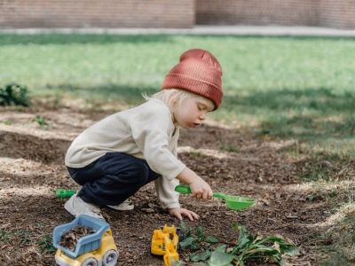Rośliny łatwe w utrzymaniu – ogród dla początkujących