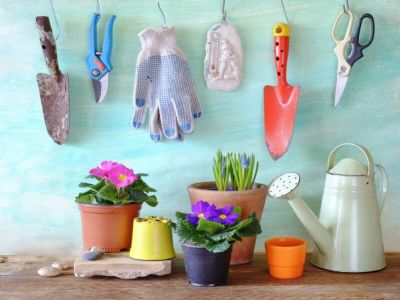Najlepsze narzędzia ogrodnicze dla entuzjastów kwiatów i roślin