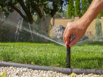 Sposoby na ochłodzenie ogrodu podczas fali upałów