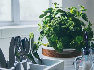 Jak hodować zioła w kuchni?
