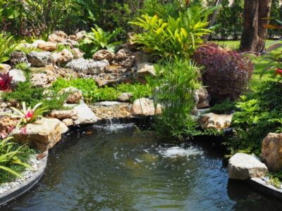 Jak stworzyć staw ogrodowy?