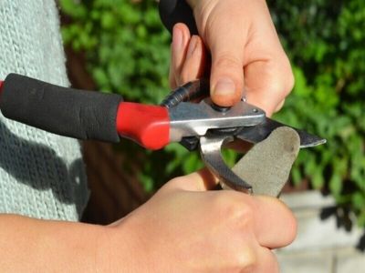 Ostrzenie nożyc ogrodowych