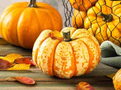 Sezon na dynie 2023 | Odkryj jego urok