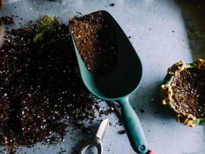 Jak dobrać podłoże?