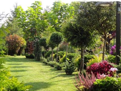 5 prac, które należy zrobić w ogrodzie teraz