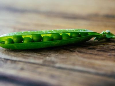 Uprawa grochu dla początkujących