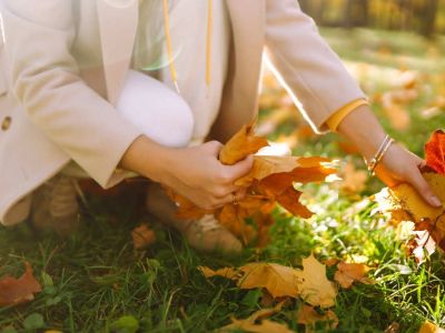 Listopad w ogrodzie | Jakie prace na nas czekają?