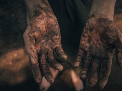 Glebogryzarka – czy warto w nią zainwestować?