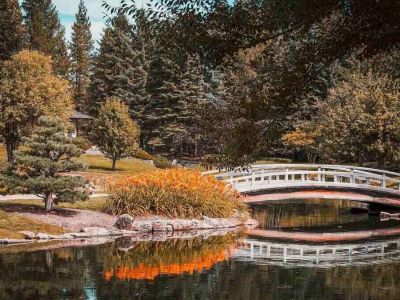 Jak urządzić ogród w japońskim stylu?