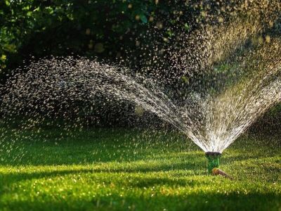 Jak przygotować ogród na wysokie temperatury?