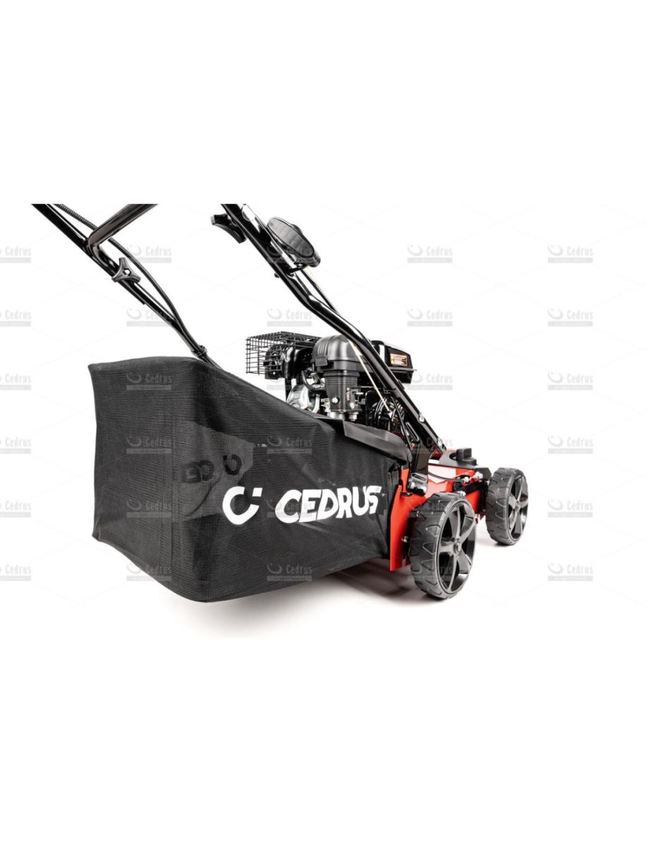 Wertykulator spalinowy do trawy oficjalny dystrybutor Cedrus WR01 2w1