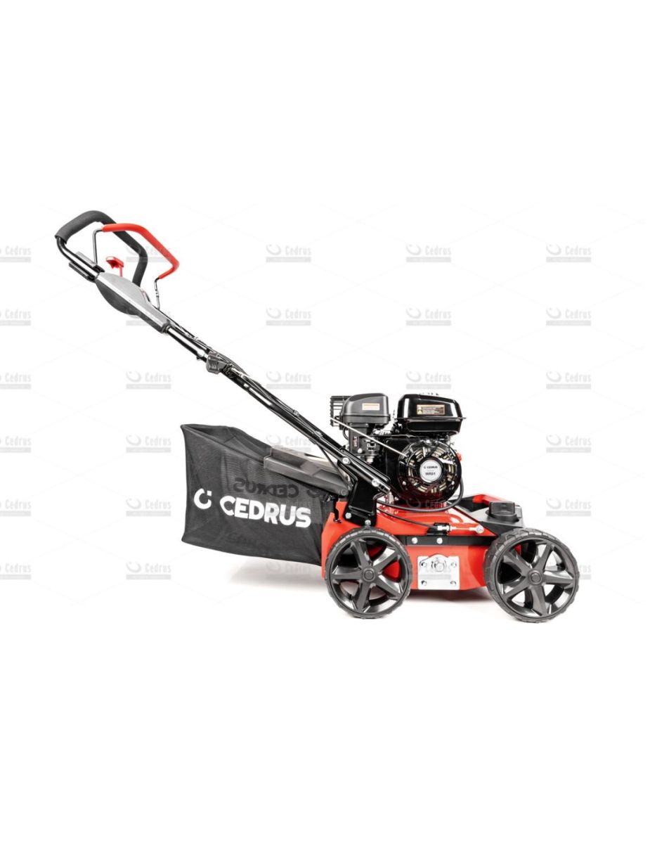 Wertykulator spalinowy do trawy oficjalny dystrybutor Cedrus WR01 2w1