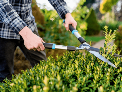 Kilka kroków do idealnego ostrza nożyc ogrodowych