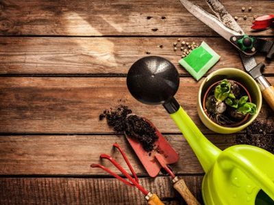 Jak wybrać narzędzia do ogrodu?