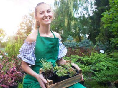 Ogród jako hobby – jak zacząć i nie stracić zapału?