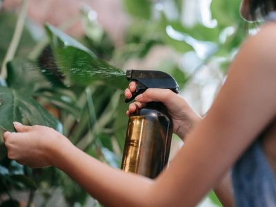 Opryskiwacz ogrodowy – jaki wybrać?