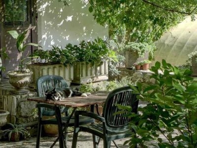 Trendy ogrodowe 2024